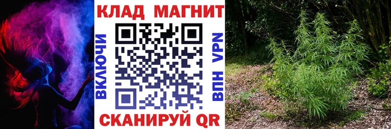 Наркошоп Вологда блэк спрут ССЫЛКА А ПВП Канабис Кокаин