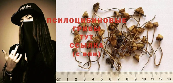 каннабис Алексеевка