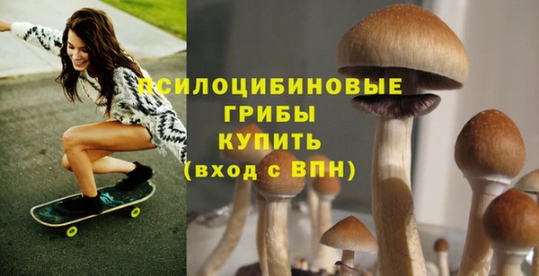 не бодяженный Абаза