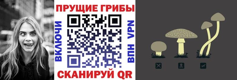 Псилоцибиновые грибы Magic Shrooms  Вологда 