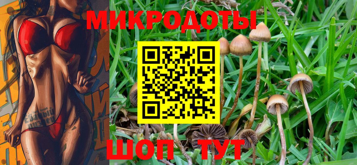 Галлюциногенные грибы мицелий  Вход с VPN  Вологда 